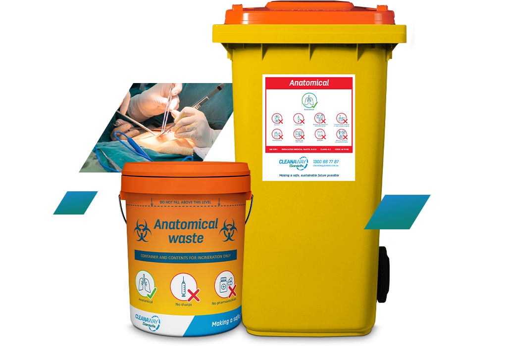 Cleanaway Daniels anatomical waste bins and containers 